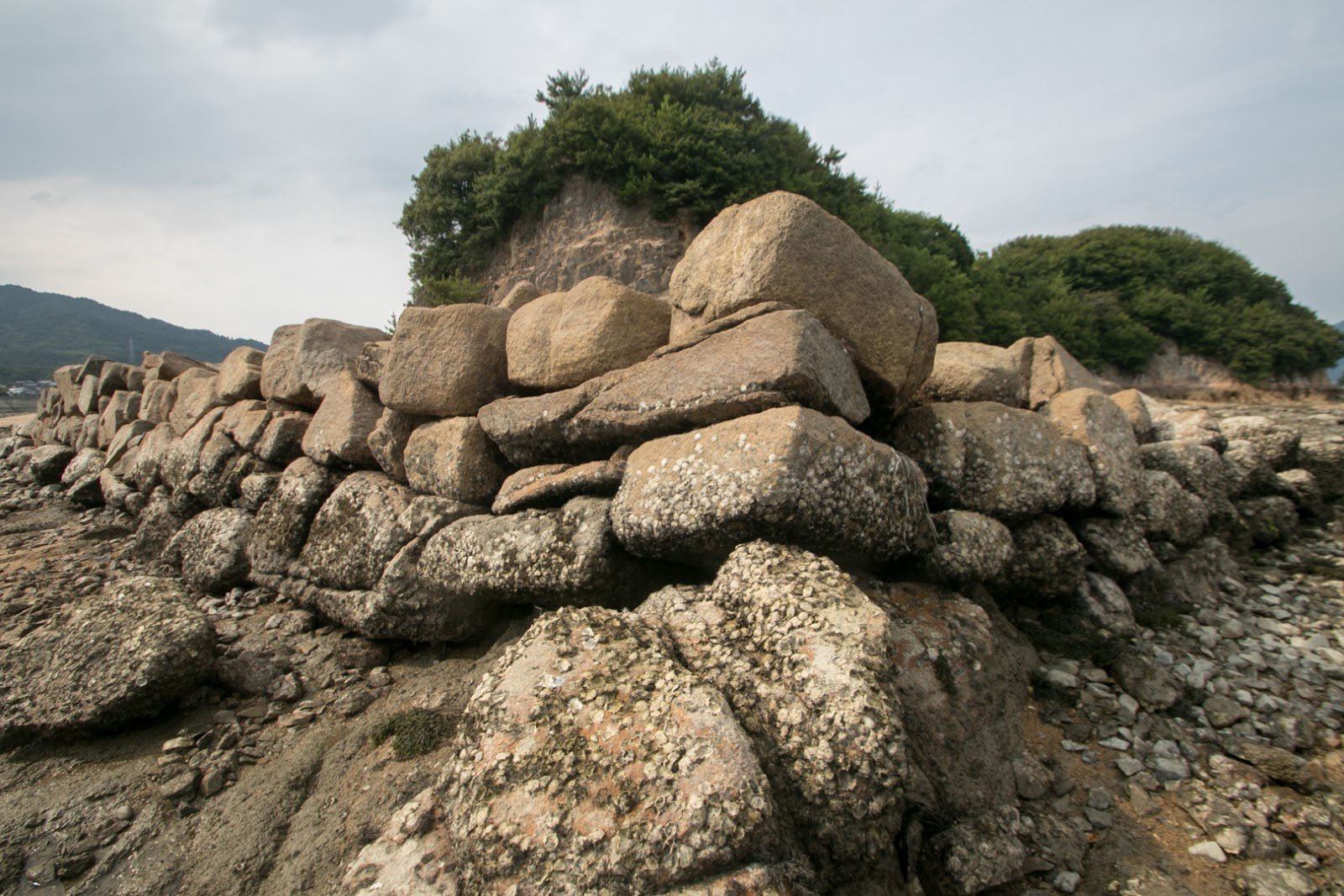 🏰 아마자키 성터(아마자키죠세키) 이미지 4